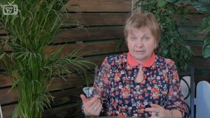 Уход за рассадой огурцов ➡ Почему желтеют листья?