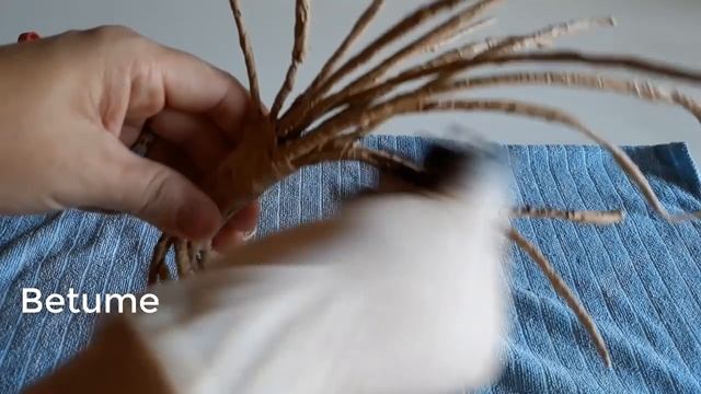 Bonsai смотреть онлайн