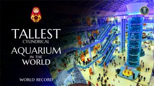 The Tallest Aquarium in the World. Russian records