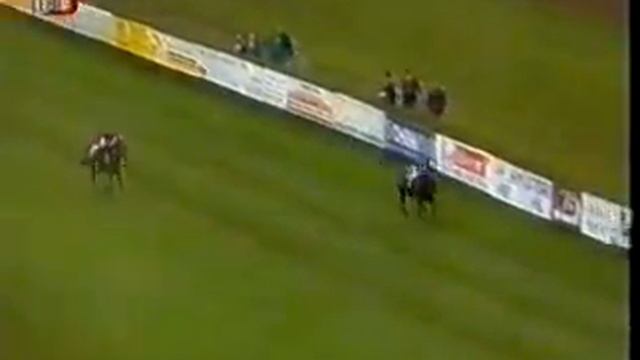 Снитковский В.В. Больщой Пардубицкий. смотреть онлайн