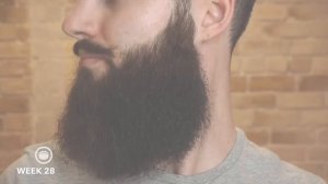 One Year Beard Growth Time-Lapse