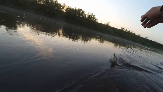 Rosy Dawn PEAK (Sunpulse, Pure) - китайская блесна на голавля. На реке! смотреть онлайн