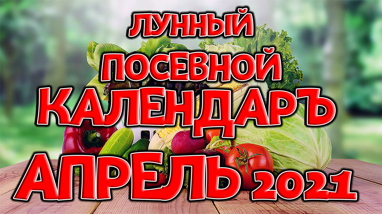 Лунный посевной календарь на март 2021 года. Календарь огородника на март 2021.mp4