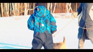 Можайское водохранилище. Зимняя прогулка с детьми и биглем