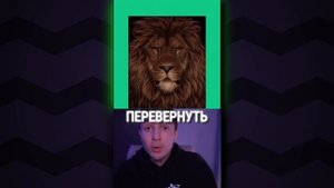 КАК Я РАСКРУТИЛ ТИК ТОК с 0 до 10 000 000 ЗА 24 ЧАСА (не кликбейт!)