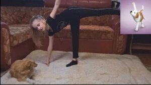 Повторяю смешные гимнастические ЙОГА позы животных/ЧЕЛЛЕНДЖ с ЖИВОТНЫМИ/YOGA  the Best Challenges