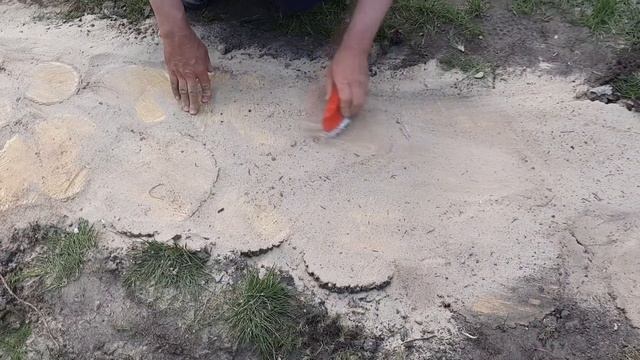 Садовая дорожка из дерева / Как сделать дорожку на даче / Садовая дорожка своими руками
