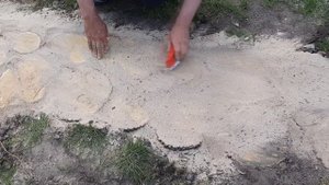 Садовая дорожка из дерева / Как сделать дорожку на даче / Садовая дорожка своими руками