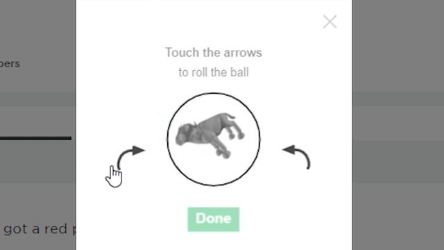 roblox verification is a pile of trash смотреть онлайн