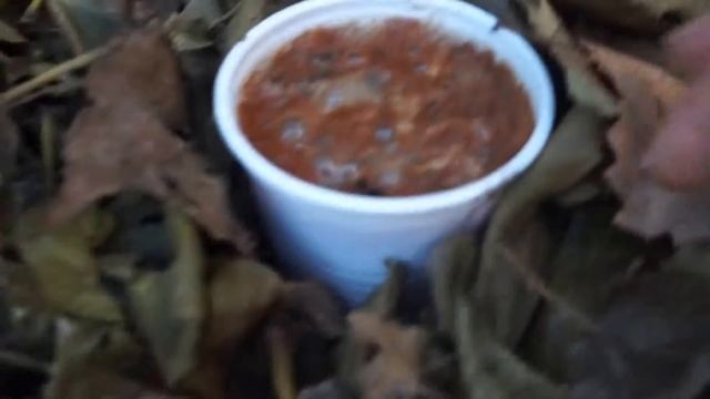 Избавиться от  слизней.  ч. 2 Мой улов смотреть онлайн