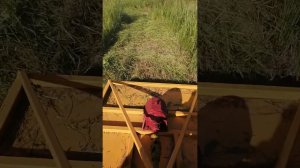 самодельная косилка на минитрактор.Испытания.