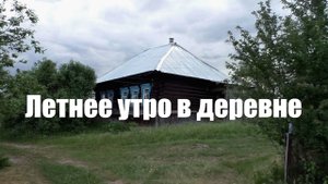 Летнее утро в деревне. Звуки природы 2 часа для расслабления