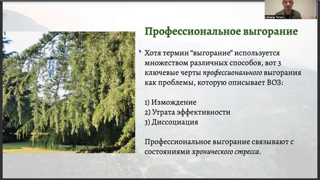 Предотвращение выгорания и поддержание внутренних ресурсов