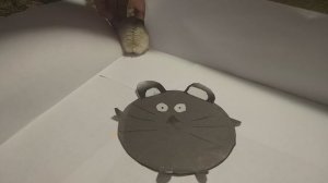 Хома ищет солнышко