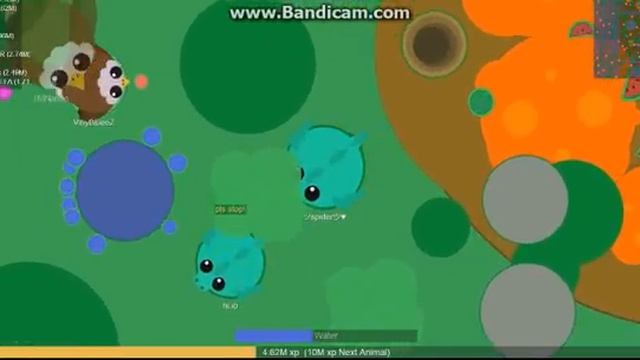 когда нет дракона (мопио) смотреть онлайн