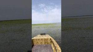 Изготовление аэролодок в Астрахани