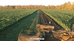 Свёлоуборочные комбайны Grimme Rexor 630 в деле. Уборка сахарной свёклы в Елецком районе