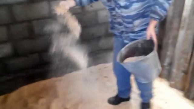 Бактерии для переработки свиново навоза
