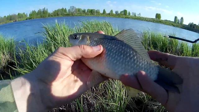 Рыбалка лето - май-июль 2015 - Клип смотреть онлайн