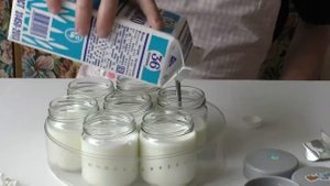Йогурт против Линекс (Yogurt VS Linex). Размножаем в молоке!