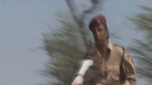 Марвари - королевские лошади Индии- Marwari royal horses of India! Лошади породы Марвари-дети Солнц
