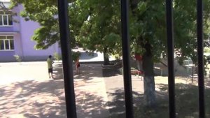 Маленькие совята в детском саду.
