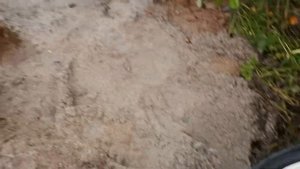 Дренаж участка. Ярославская область, Даниловский район, село Дмитриевское. Отчетное видео