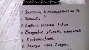 Многолетник клематис тангутский. Размножение