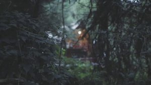 Тайны братского водохранилища. Страшные истории