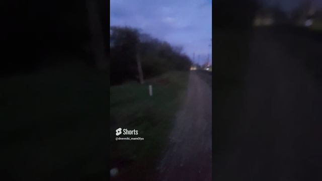 утренние трели(1 год назад)
