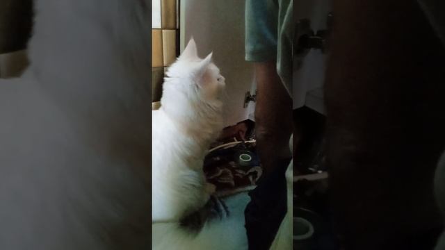 Сантехник и ученик (учись студент а то всю жизнь ключи подавать будешь?) смотреть онлайн