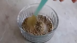 Какие овощи вкусно запекать в духовке