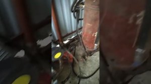 Компрессор с двигателем  Бензокомпрессор мотокомтрессор