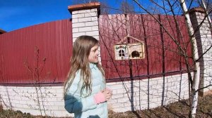 КАК ОТРЕАГИРУЕТ ДЖУНГАРСКИЙ ХОМЯК НА ПРОГУЛКУ НА УЛИЦЕ - мой джунгарик, прогулка #1