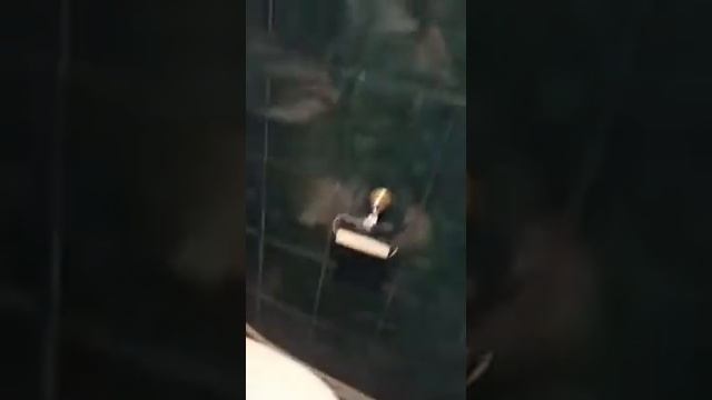 Антиреклама обуви Hogl-однократный поход под дождём.