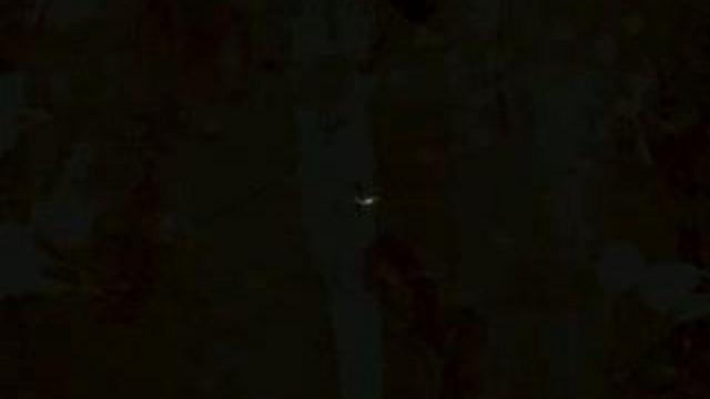 9-ый городской фестиваль молодежи 2008 год