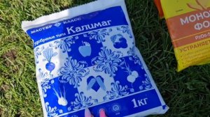 Это ВАЖНО! Уход за РОЗАМИ ОСЕНЬЮ! Чем кормить, обрабатывать и как обрезать розы осенью