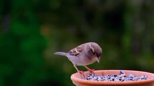 мы родились в//читала книги//обзор канала смотреть онлайн