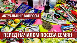 Актуальные вопросы перед началом посева томатов на рассаду. Перед началом посева семян томатов