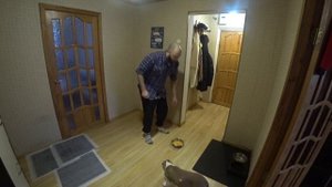 Выдержка перед едой🐕Кушаем по команде МОЖНО🐕Стафф 3 мес