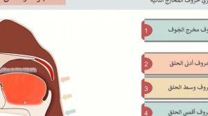 Второй махрадж: горло الْحَلْقُ . выходят 6 гортанных букв ء هـ ع ح غ خ