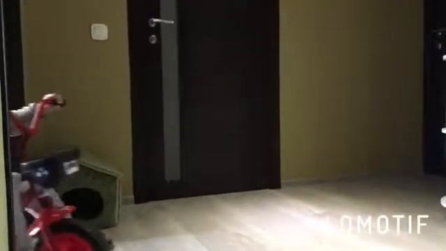 X-Files. Batman. Funny. Секретные материалы. Бэтмен на велосипеде. Прикол. Ржака. 2019. смотреть онлайн