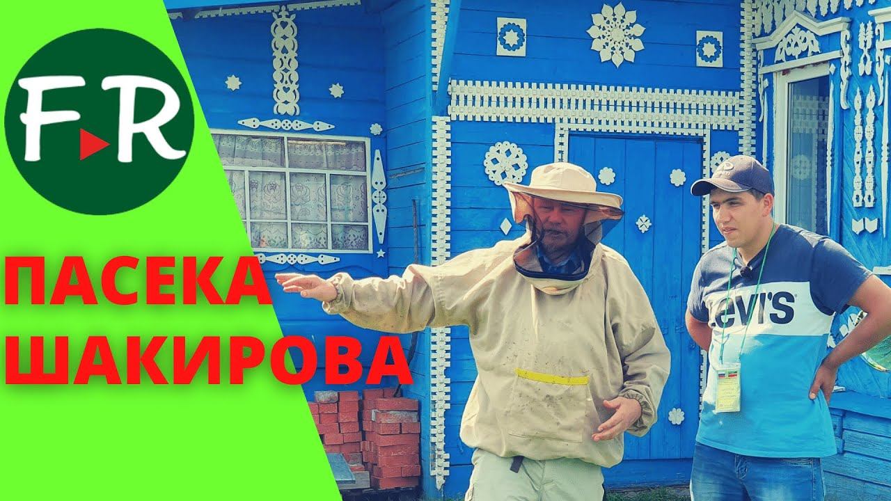 Пчеловоды Татарстана научились договариваться с фермерами и аграриями, чтобы не было потрав пчёл.