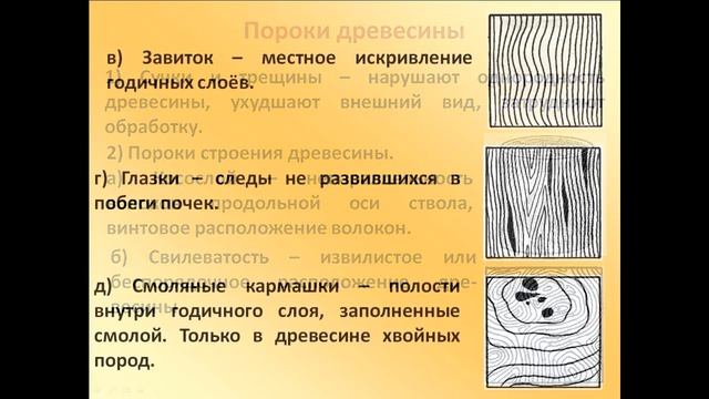 Древесина - строение и пороки ?? ➄