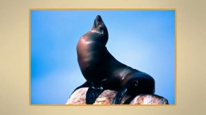 Зона арктических пустынь  Видеоурок по окружающему миру 4 класс online video cutter com 2