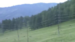 Шебалино Горный Алтай