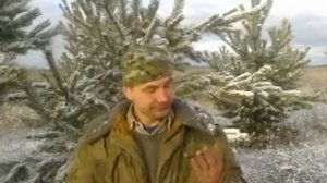 Медведь и пчела. Басня с матом