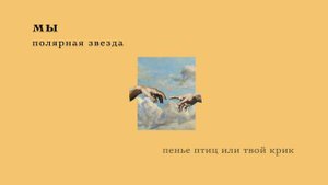мы // полярная звездa
