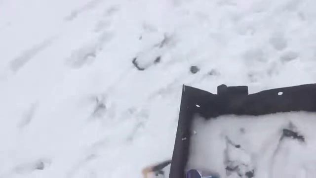 Гуляю с собакой на природе смотреть онлайн