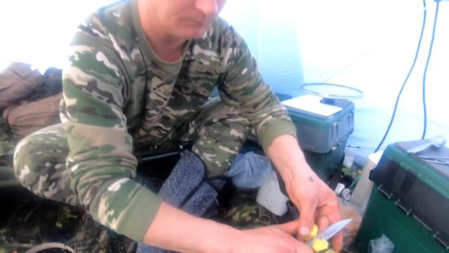 Рыбалка на ПЕЛЯДЬ! Ловим РИПУСА и ПЕЛЯДЬ! На что клюёт Рипус! Ночная Рыбалка в Палатке с Вебасто!
